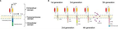 In-Vivo Induced CAR-T Cell for the Potential Breakthrough to Overcome the Barriers of Current CAR-T Cell Therapy